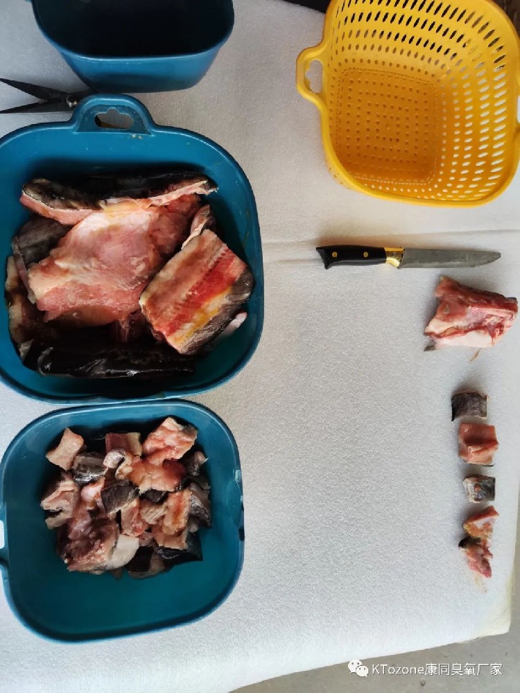 臭氧可以用于魚肉去腥去血水嗎？